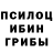 Галлюциногенные грибы Psilocybine cubensis Bastila