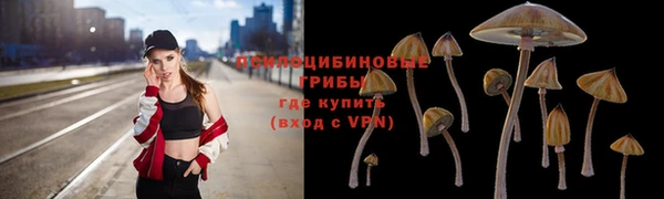 гашик Аркадак