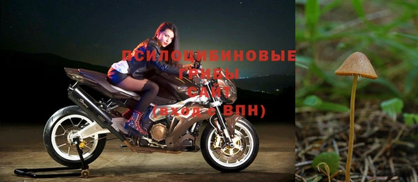 гашик Аркадак